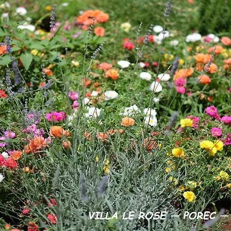 Βίλα Luxury Le Rose Πόρετς