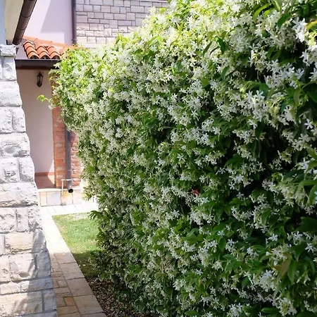 Luxury Le Rose Πόρετς