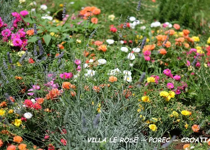 Vila Luxury Le Rose Porec